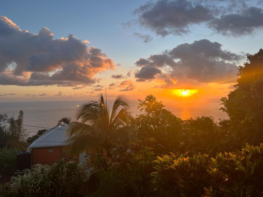 "Sunrise Inn" Nature Island Dominica Penville ภายนอก รูปภาพ